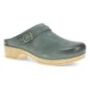 Dansko Berry Green Burnished Leather -Modern Step Wear Store 9421771400 PRI