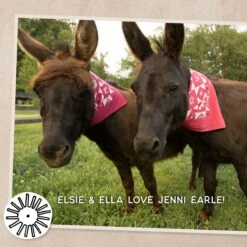 Dansko Jenni Earle Bandana -Modern Step Wear Store JenniEarleBandana2400x2400 5